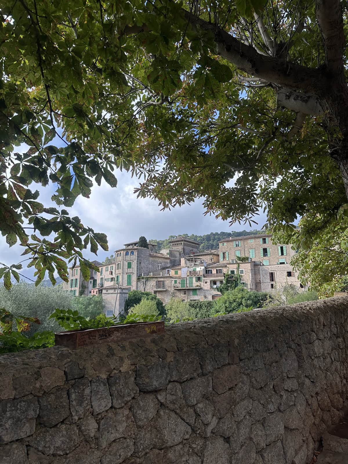Valldemossa